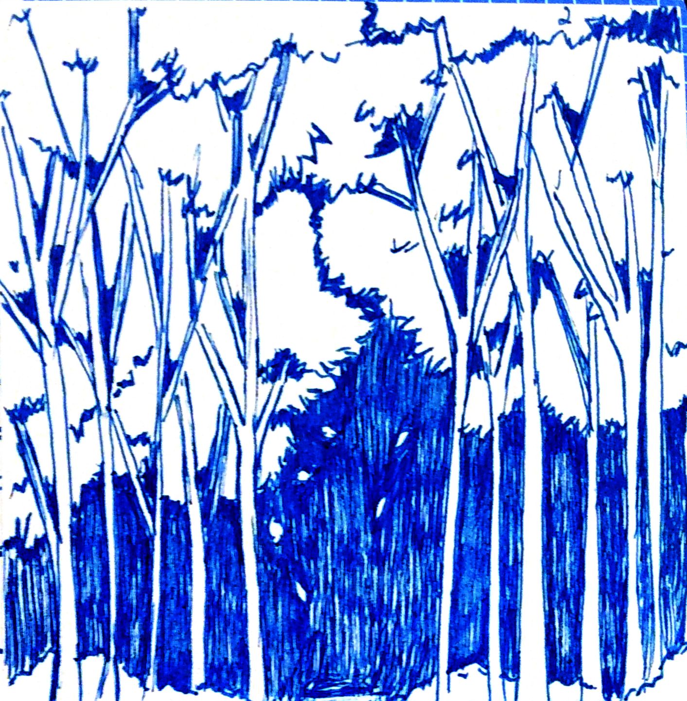 the blue woods